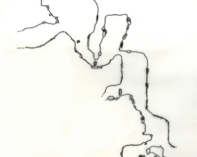 Topografia de Avenc del Pi Rodó (1 de 2)