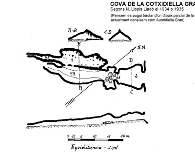 Survey of AUMIDIELLA GRAN, COVA DE L' (2 of 2)