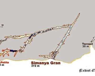 Topografía de SIMANYA PETITA, COVA (1 de 1)