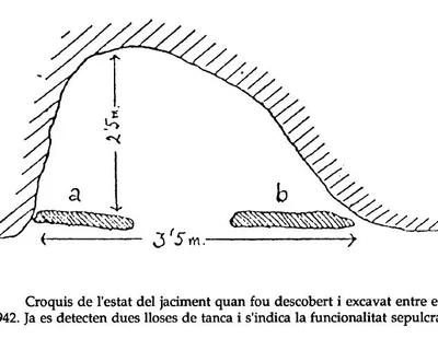 Survey of MASIA, ABRIC O COVA DE LA (3 of 3)