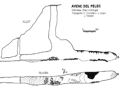 Topografía de PÈLEC, AVENC DEL (2 de 2)