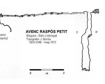 Survey of RASPÓS PETIT, AVENC (1 of 1)