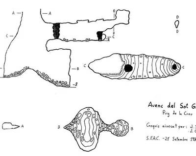 Topografia de SOT GRAN, AVENC DEL (1 de 1)