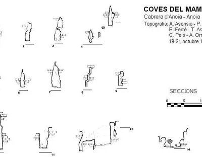 Survey of MAMUT, COVES DEL (2 of 3)
