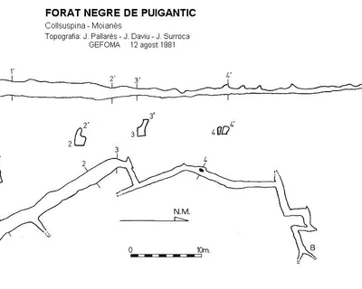 Topografía de NEGRE DE PUIGANTIC, FORAT (1 de 1)