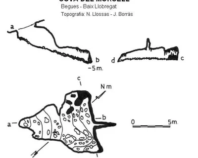 Topografia de MORSELL, COVA DEL (1 de 1)