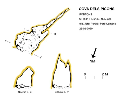 Topographie de PICONS, COVA DELS (1 sur 1)