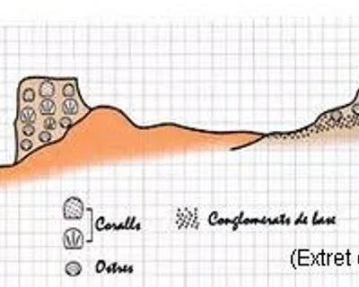 Topographie de PAPIOL, ESCLETXES DE (3 sur 3)