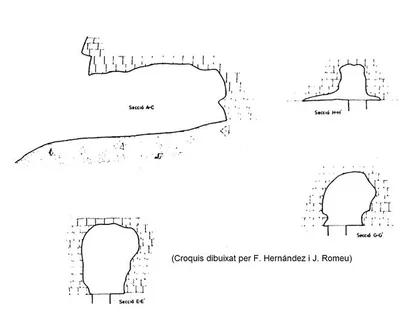 Topografía de BRUIXES, COVA DE LES (1 de 1)