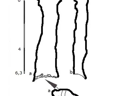 Topografia de CLAR Nº 1, AVENC (1 de 1)