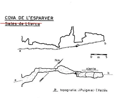 Survey of ESPARVER, COVA DE L' (1 of 1)