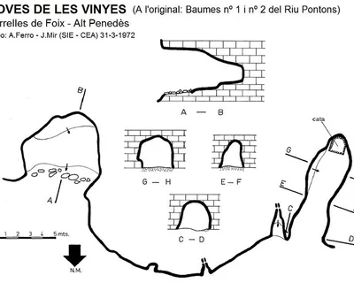 Topografia de VINYES, COVES DE LES (1 de 1)