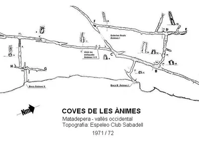 Topografia de ÀNIMES, COVES DE LES (1 de 2)