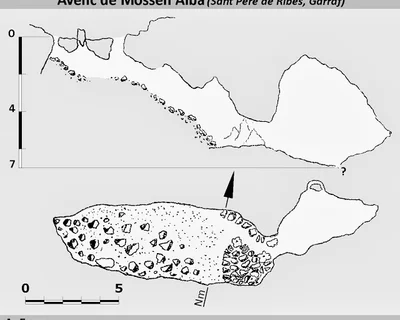Topografía de MAS DE MOSSÈN ALBA, AVENC DEL (1 de 2)