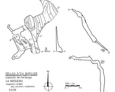 Topographie de CELLER D'EN PLANES, FORAT DEL (1 sur 2)