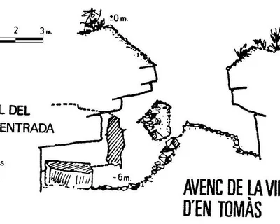 Topografia de VINYA D'EN TOMÀS, AVENC DE LA (1 de 2)