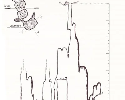 Topographie de ALZINES, AVENC DE LES (4 sur 7)