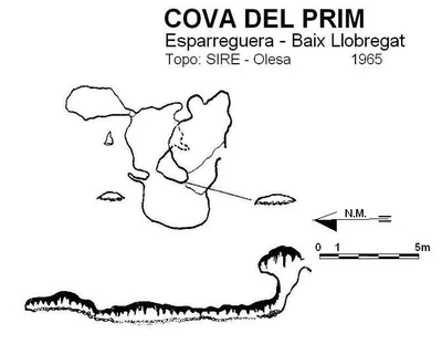 Topographie de PRIM, COVA DEL (1 sur 1)
