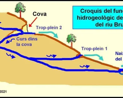 Topographie de FONT GROSSA, COVA DE LA (2 sur 2)