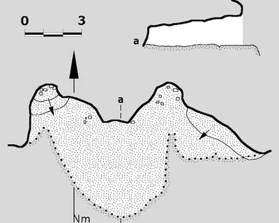 Topographie de PUELLES, BALMES DE LES (2 sur 2)