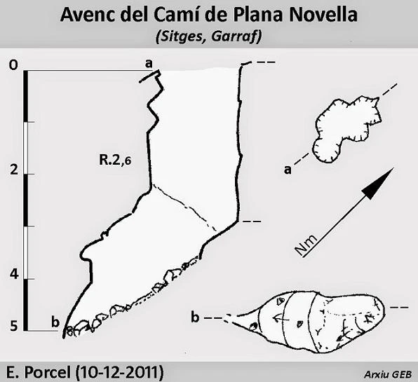 Topografia de Avenc del Camí de Plana Novella