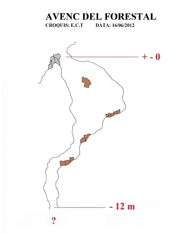 Topografia de Avenc del Forestal