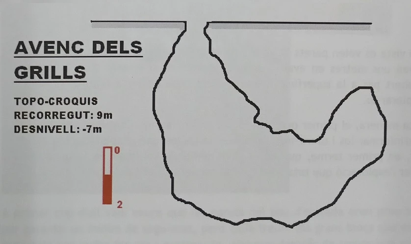 Survey of Forat dels Grills