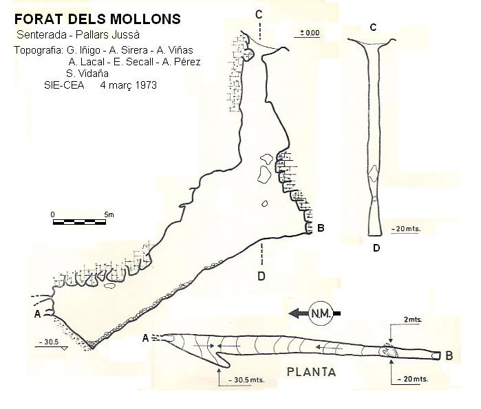Topografia de Forat dels Mollons