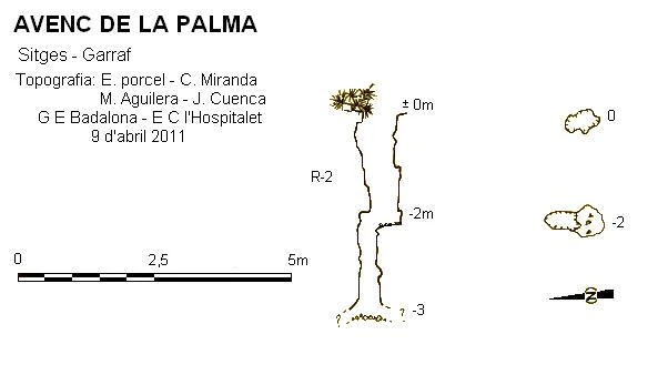 Topografia de Avenc de la Palma