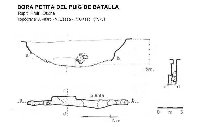 Topografía de Bora Petita del Puig de Batalla