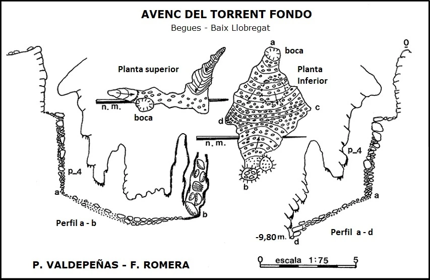 Topografía de Avenc del Torrent Fondo