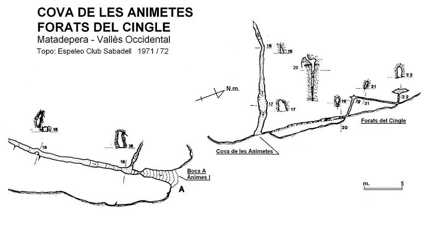Topografía de Cova de les Animetes