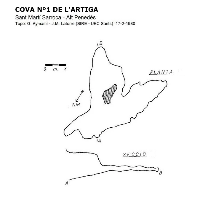 Topografía de Cova Nº1 de l'Artiga