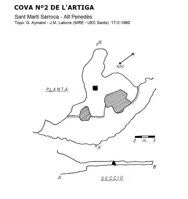 Survey of Cova Nº2 de l'Artiga