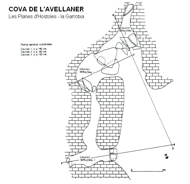 Survey of Cova de l'Avellaner