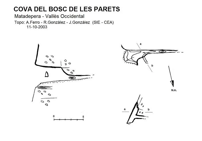 Topografia de Cova del Bosc de les Parets