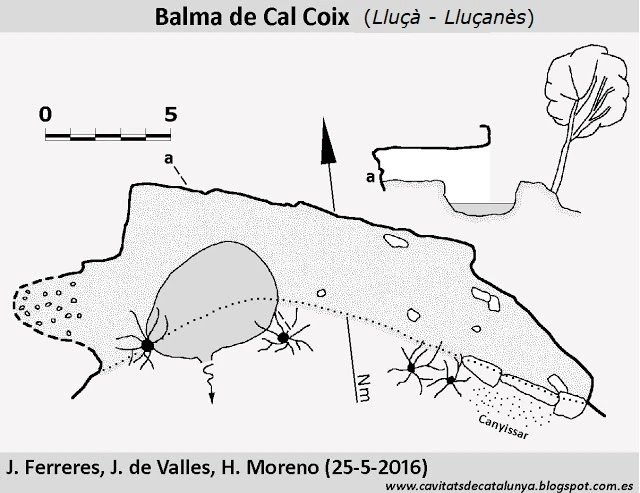 Topografia de Balma de Cal Coix
