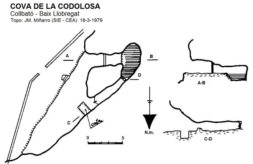 Topographie de Cova de la Codolosa