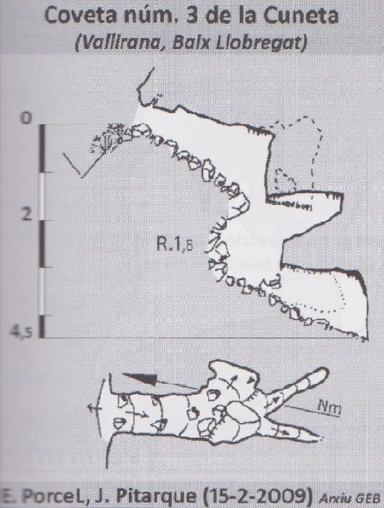 Topografia de Coveta Nº3 de la Cuneta