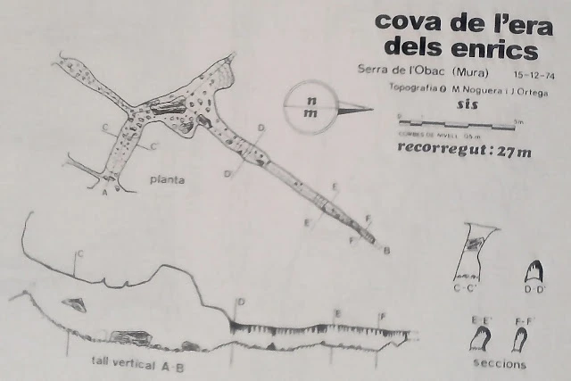 Topografia de Cova de l'Era dels Enrics
