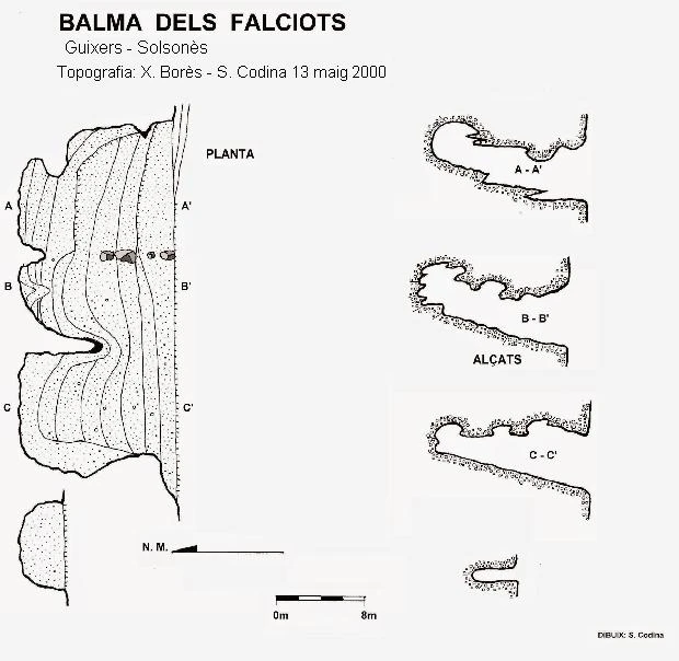 Topografia de Balma dels Falciots