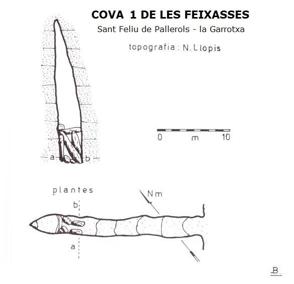 Topografía de Cova 1 de les Feixasses
