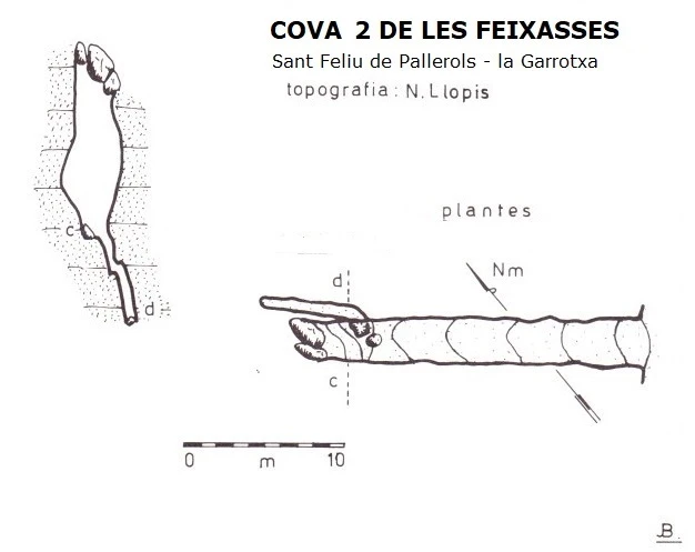 Topografia de Cova 2 de les Feixasses