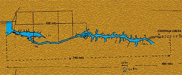 Topografia de Cova del Francès