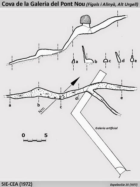 Topografia de Cova de la Galeria del Pont Nou
