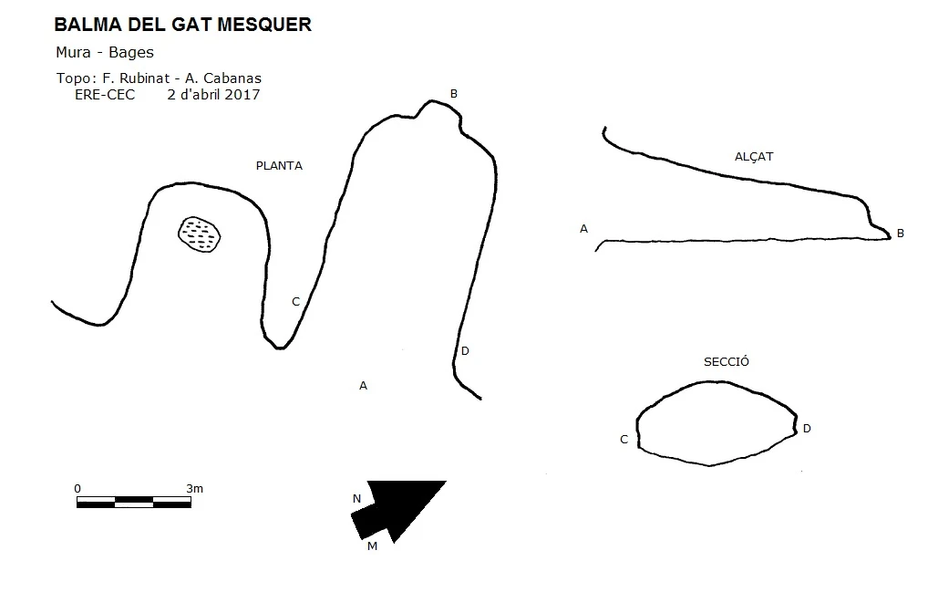 Survey of Balma del Gat Mesquer