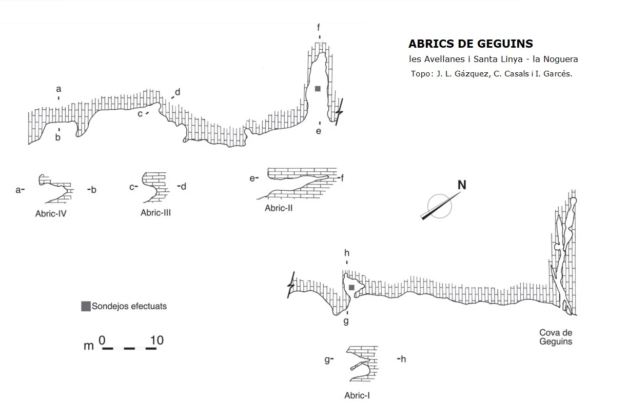 Topografia de Abrics de Geguins