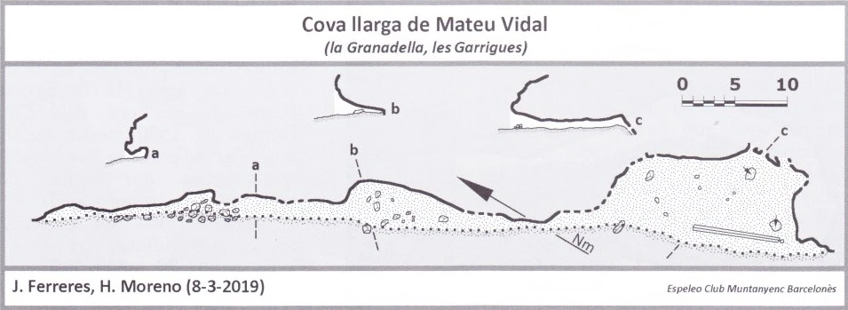 Topographie de Cova Llarga de Mateu Vidal