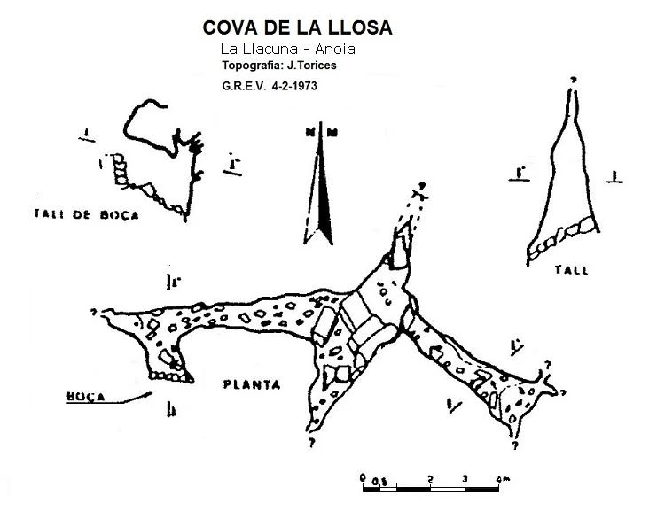 Survey of Cova de la Llosa