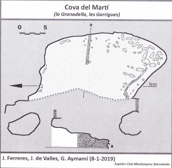 Survey of Cova del Martí